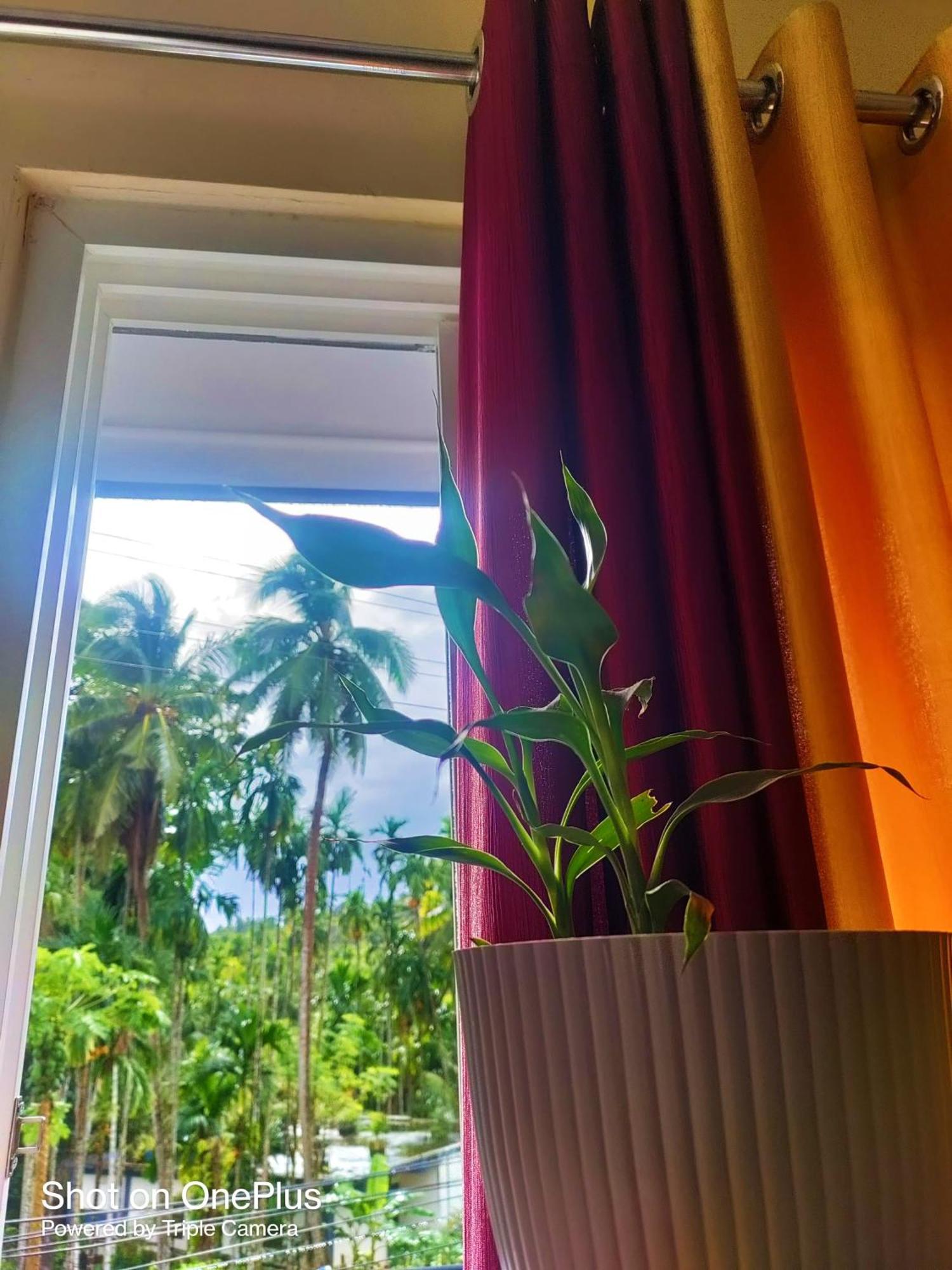 Hilton Garden Homestay Port Blair Exterior foto